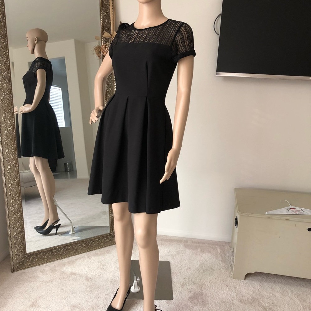 Cocktail Dress